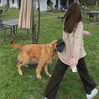 我无罪海报